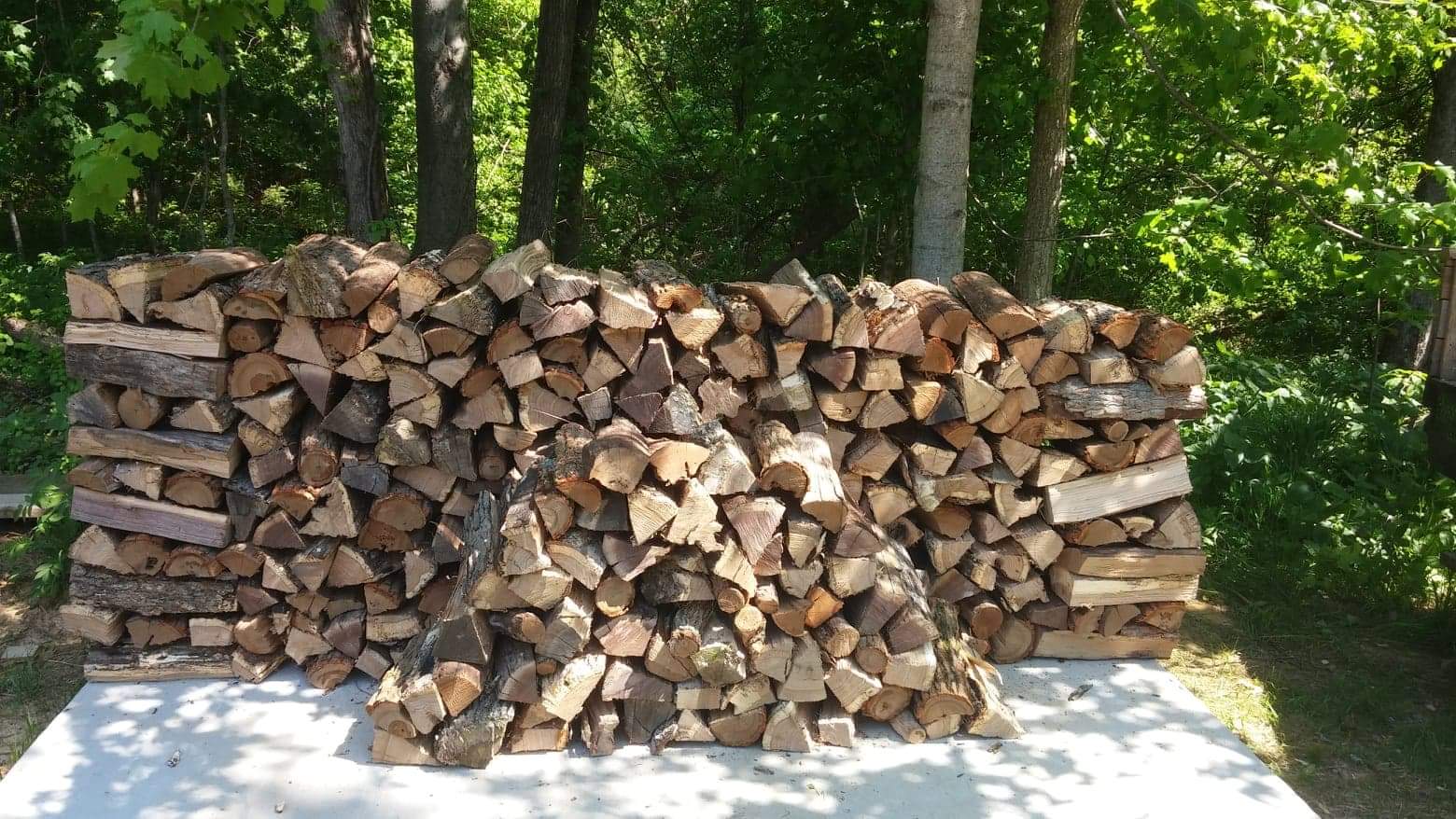 Firewood