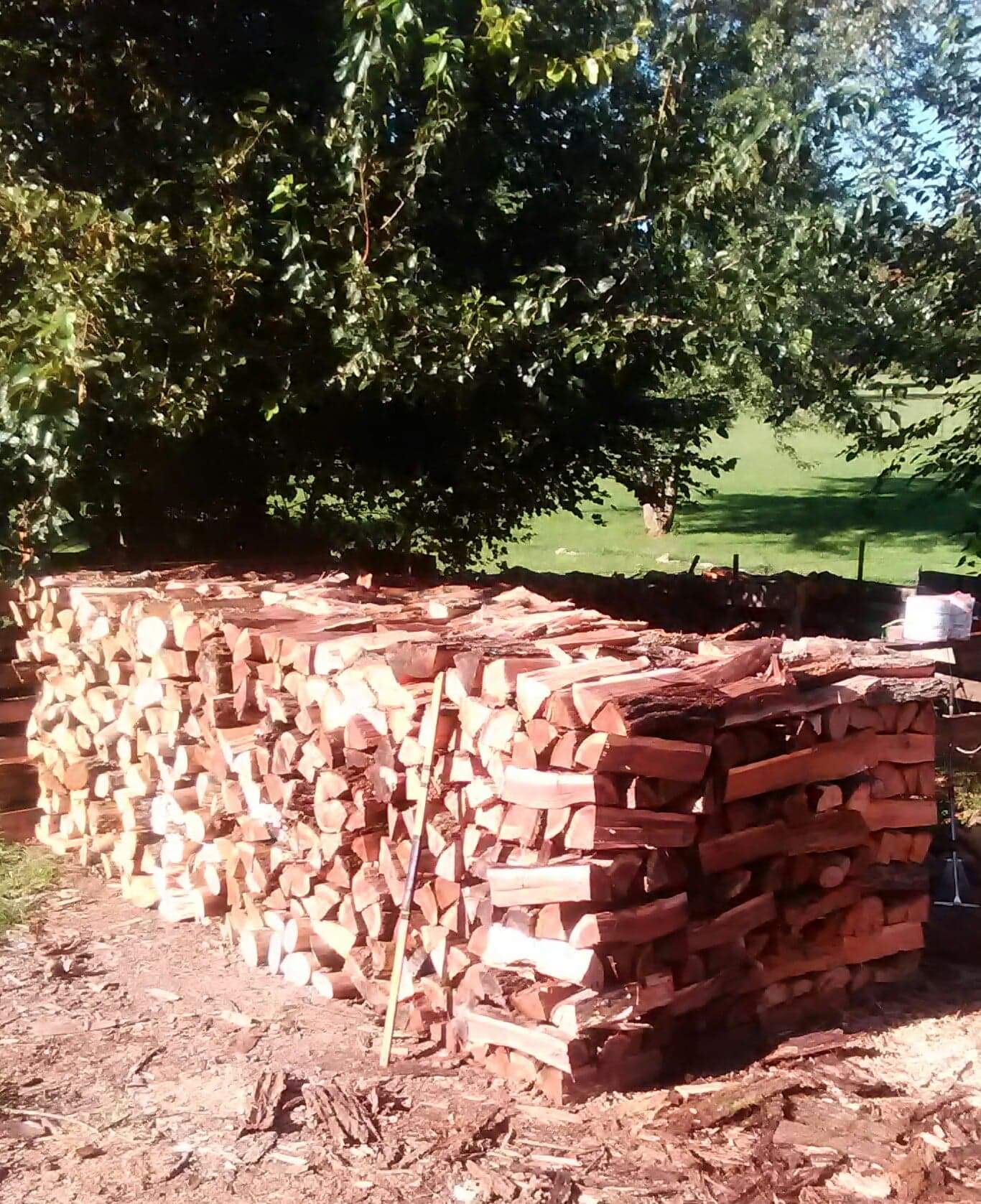 Two Cord Firewood