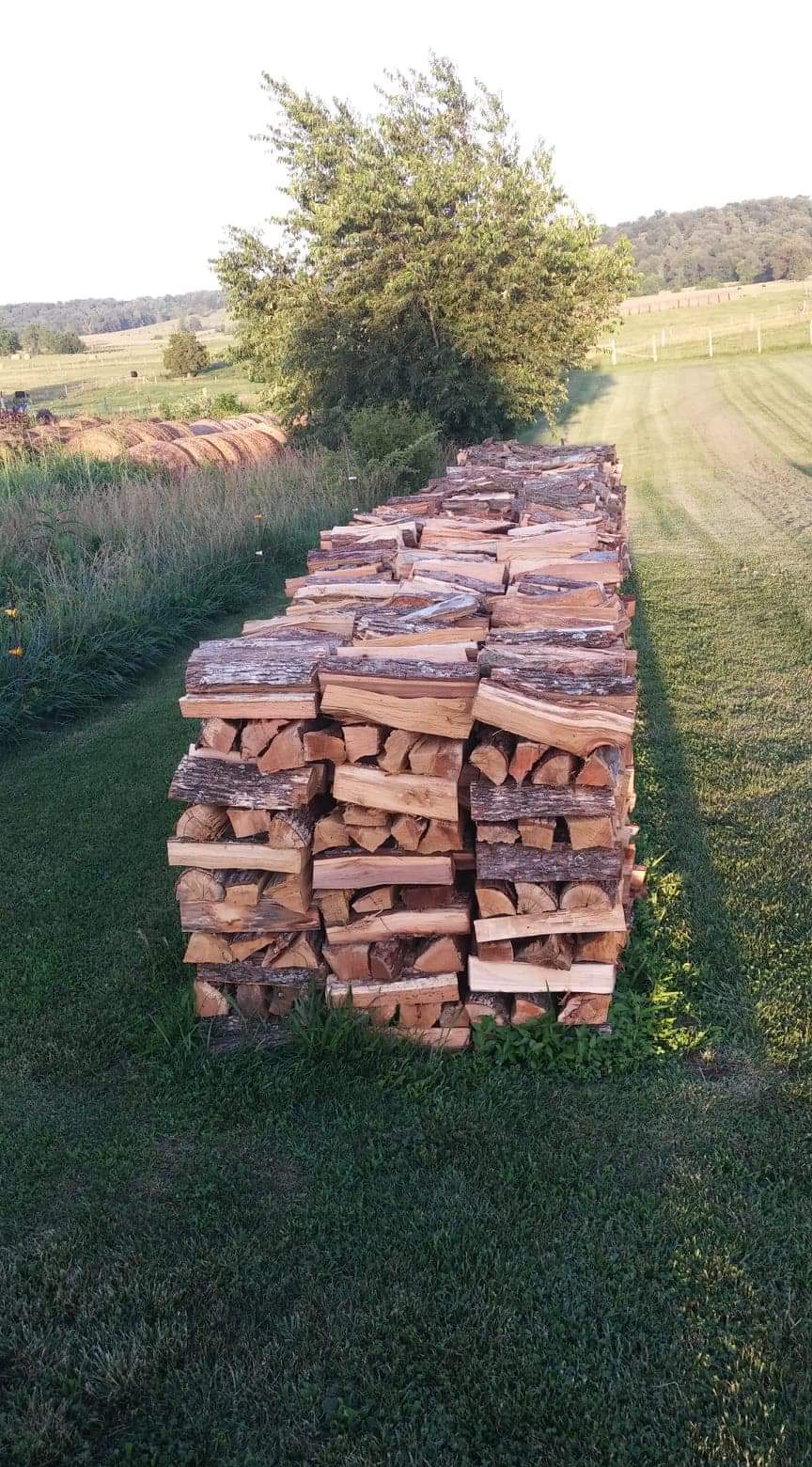 Four Cord Firewood