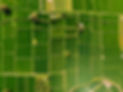 shutterstock_1235481181_edited.jpg