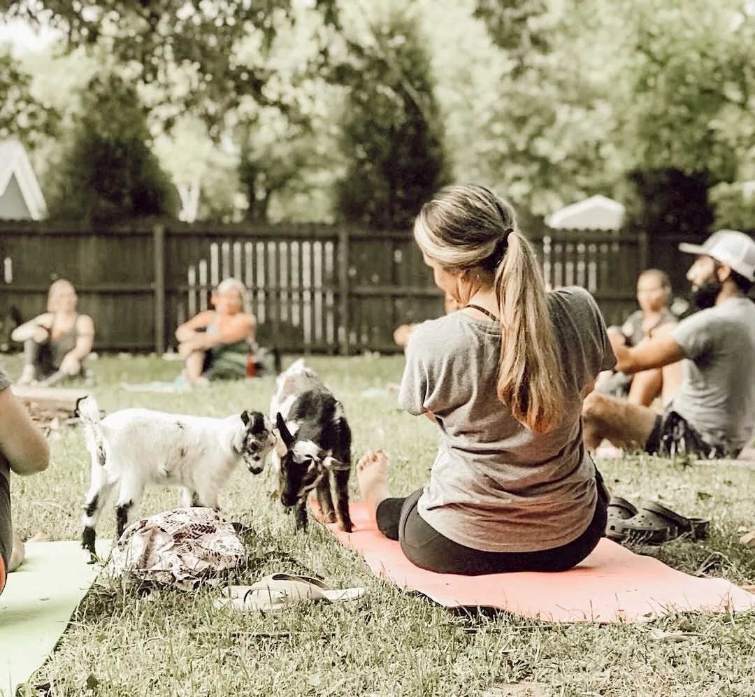 Goat Yoga