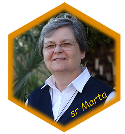 sr Marta Finotelli