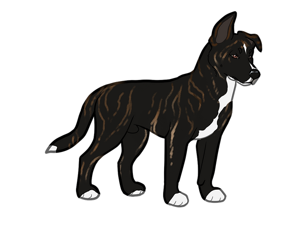 PUPPY1 - NN.png