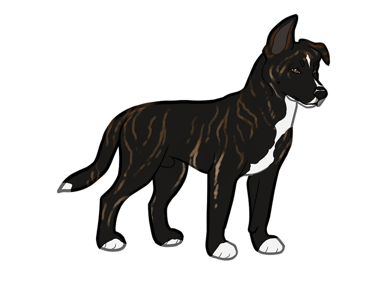 PUPPY1 - NN.png