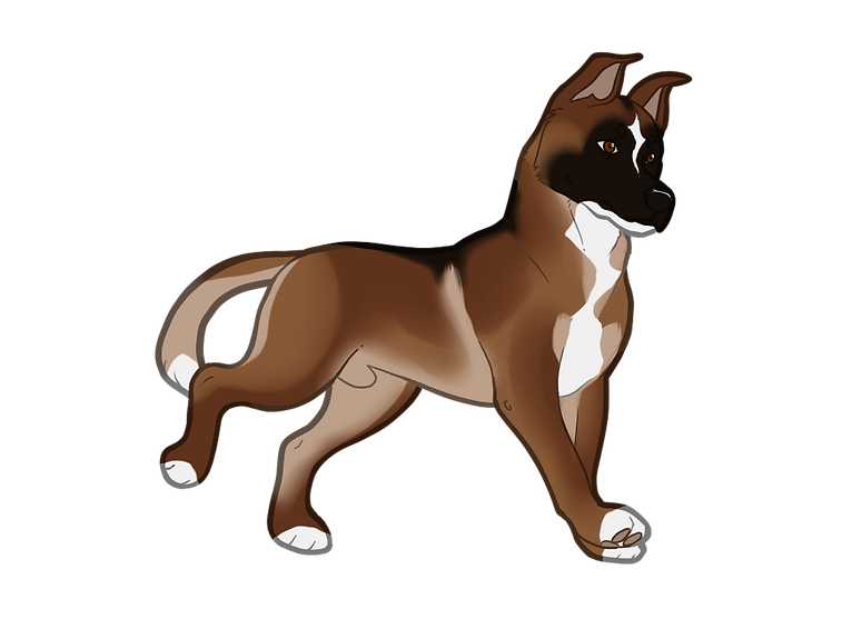 PUPPY2 - NN.png