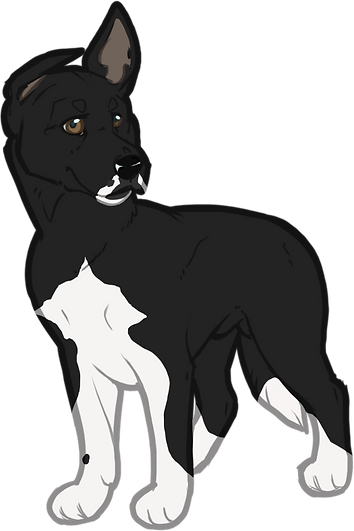 Puppy004.png