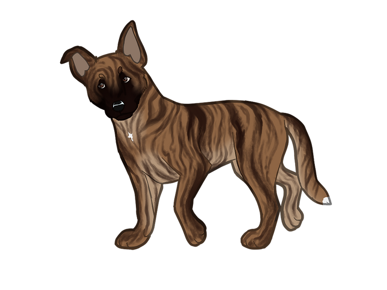 PUPPY3 - NN.png