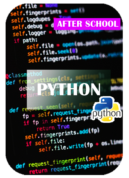 Python Course - Virtual Tech Camp -