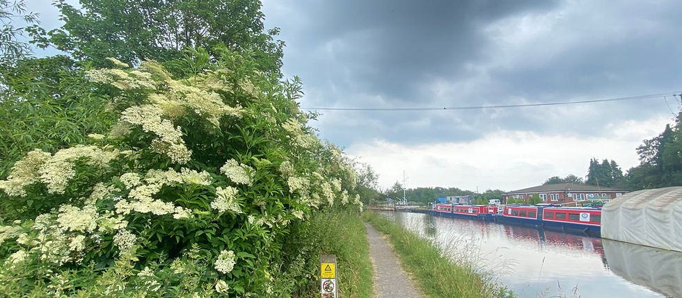 Foraging Along the Waterways