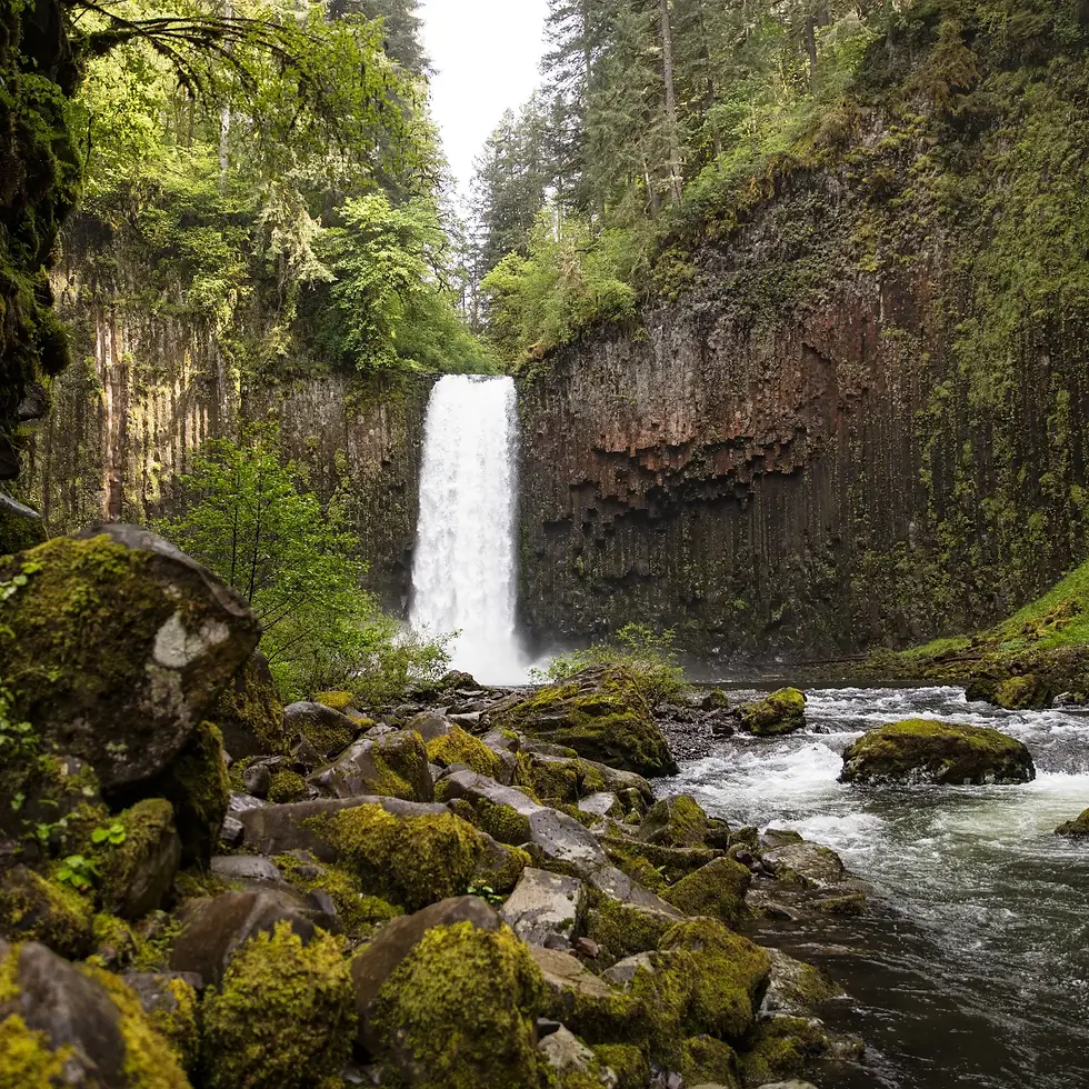 Abiqua Falls, Oregon 18