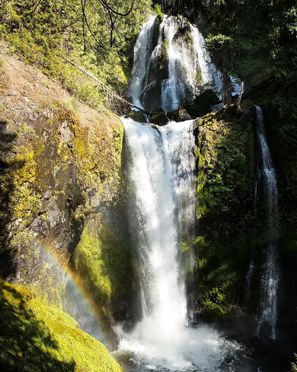 Falls Creek Falls, Washington 14