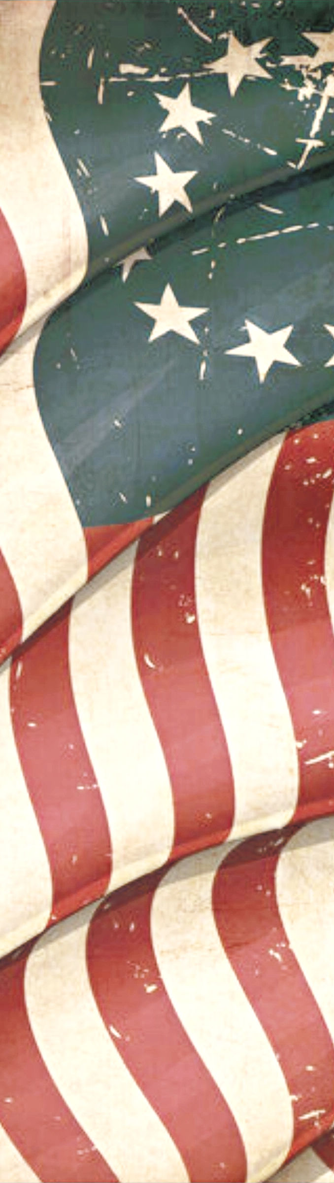 Flag Website Background_edited.jpg