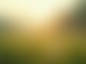 Exploring the Manifestation of God's Mission on Earth Through Biblical Predictions