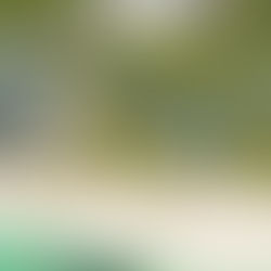 Barceló Bávaro Beach – Adults Only: Oceanfront Fun and Luxury with VIP escorts from Punta Cana