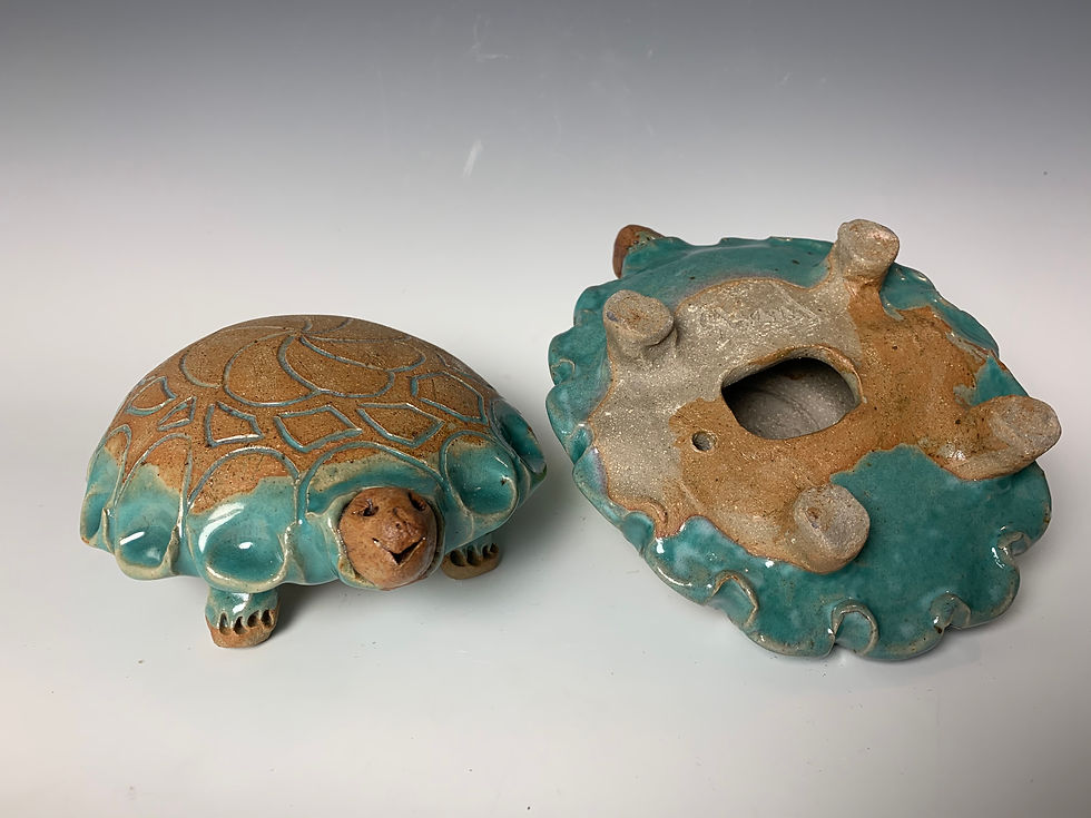 Turtle Hide A Key