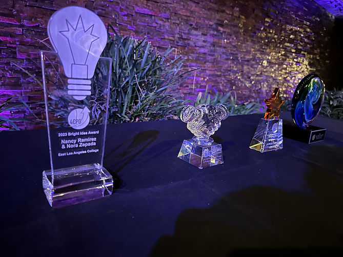 photo of awards from past conference on a table