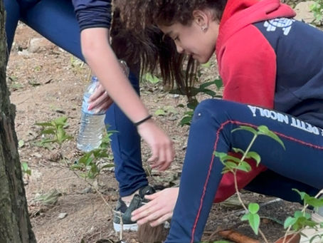 Estudantes do Colégio Le Petit Nicolá plantando no Jardim Botânico Escolar na Serra da Cantareira
