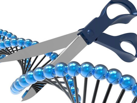 Ethical Reflections on CRISPR Technology