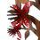 Thumbnail: Pohutukawa Flower Tree