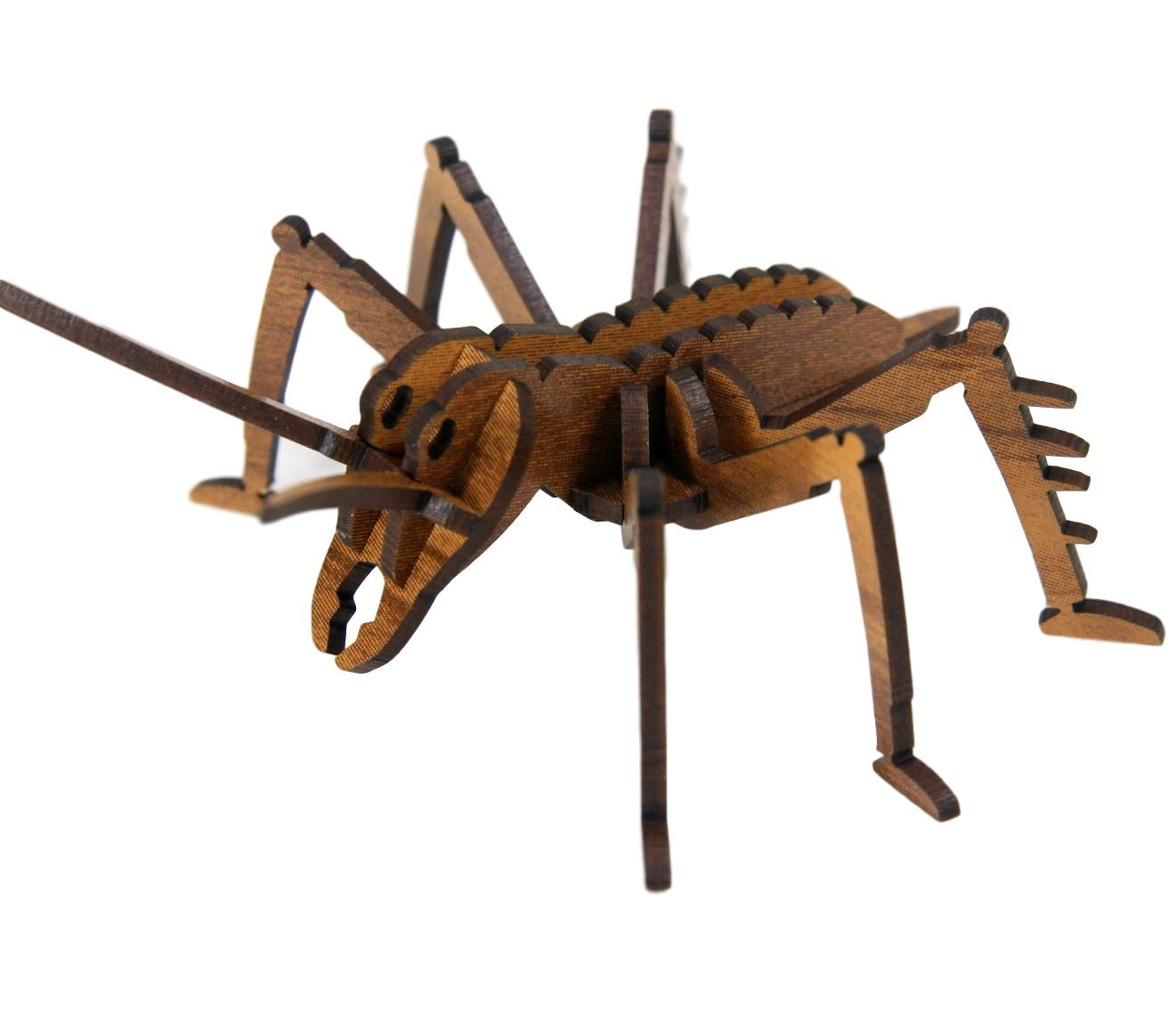 Weta kitset