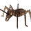 Thumbnail: Weta kitset