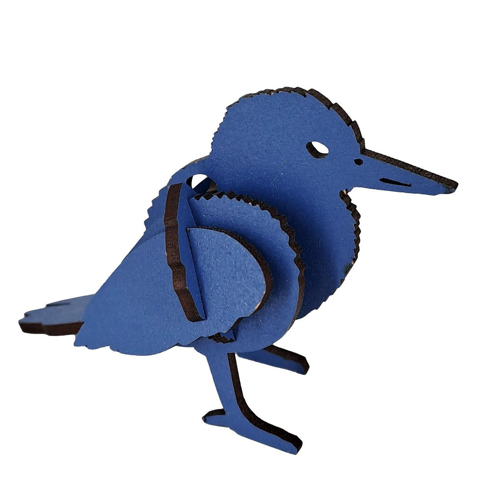 Thumbnail: Kotare - Kingfisher