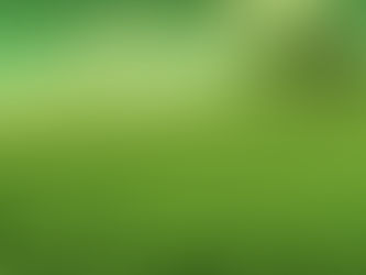 Delta 9 vs THC: Is there a difference?