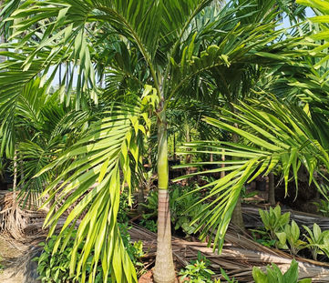 WhatsApp Image 2023-01-24 at 9.55.26 PM.jpeg