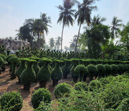 WhatsApp Image 2023-01-24 at 9.55.30 PM (1).jpeg