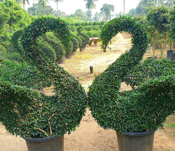 WhatsApp Image 2023-01-24 at 9.55.27 PM (1).jpeg