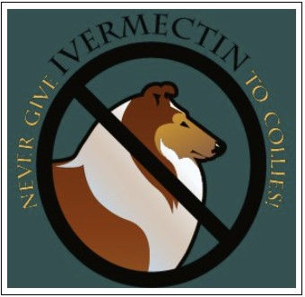 Screenshot 2020-10-20 221417.jpg