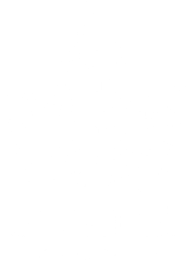 Home Scratchbeer,Outline Horse Line Drawing