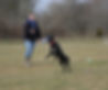 Perfect throw - Perfect catch.JPG