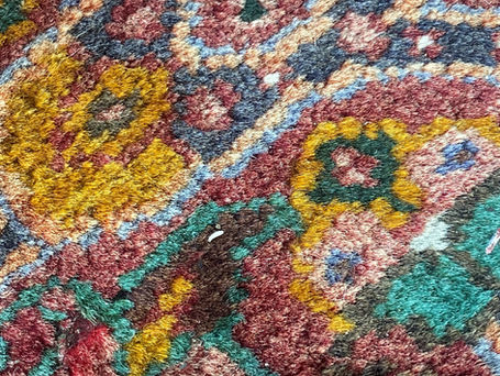 Carpet Beetle Infestation