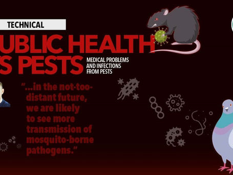 Commonly Seen Infections to be Aware of