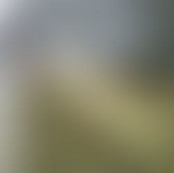 Fencing in Fall and Winter How Be Fenced Keeps Lancaster County Properties Safe Year Round