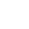 w-tbird