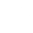 w-tbird