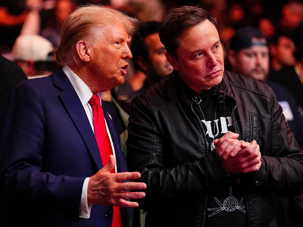 elon and donald trump