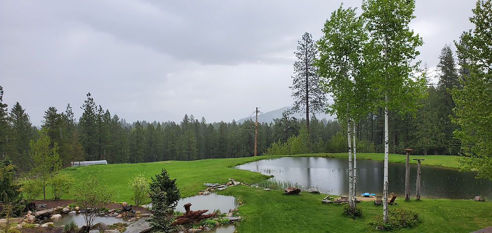 There's something magical about a stormy day.