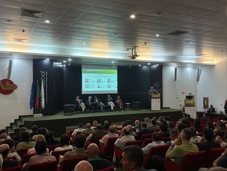 II CONGRESSO IBÉRICO DE OLEICULTURA 2026