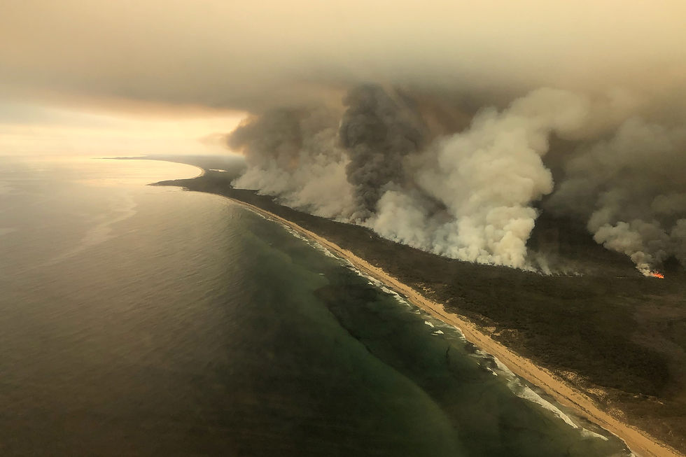 Soap Box Project (Forest Fires, Climate Change And Deforestation)