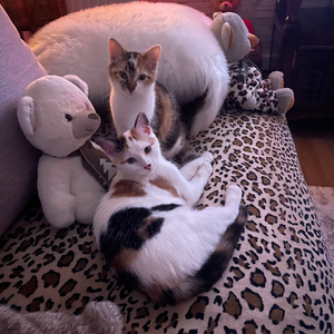 Vivienne & Valentina