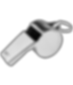 metal sports whistle