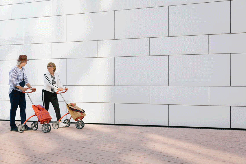 citycaddy by zest style keep you active beautifully