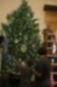 2016 Christmas Tree 15