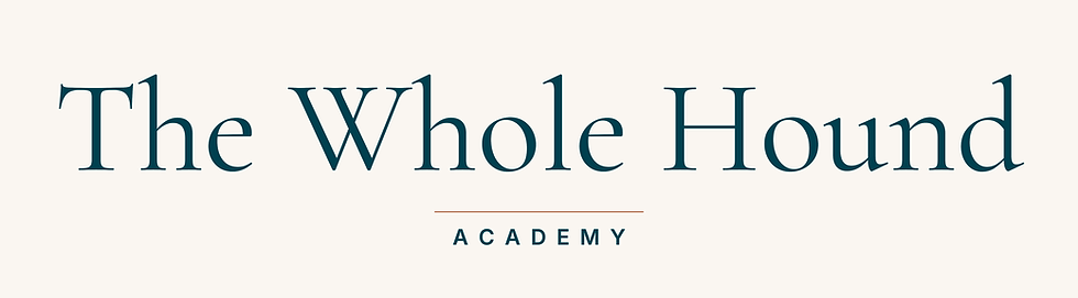 logo-primary.png