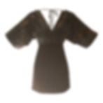 Dolman Wing Sleeved Vneck Front and Ba