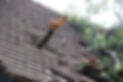 Roofing Contractor, Roofing Company, Philadelphia, New Jersey, South Jersey, Blackwood, Cherry Hill, Sewell, Gloucester, Ironclad Roofing and Construction, Storm Damage, Roofing, Roof Decks, Gutters, Roofing Repairs, Siding, Stucco, Ironclad Roofing and Construction