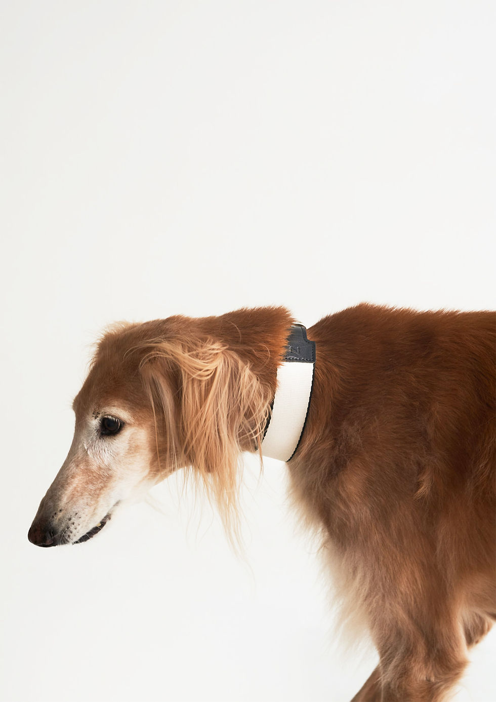 Thumbnail: BREIT Collar